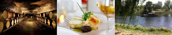Loire wine cellar - French gastronomy - wild river loire wine cellar - french gastronomy - wild river