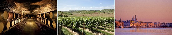 loire wine cellar - sancerre vineyards - bordeaux