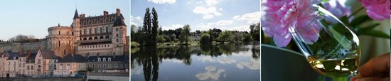 chateau of amboise - loire river - vouvray wine