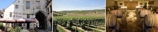 sancerre village, vineyards and wine cellar